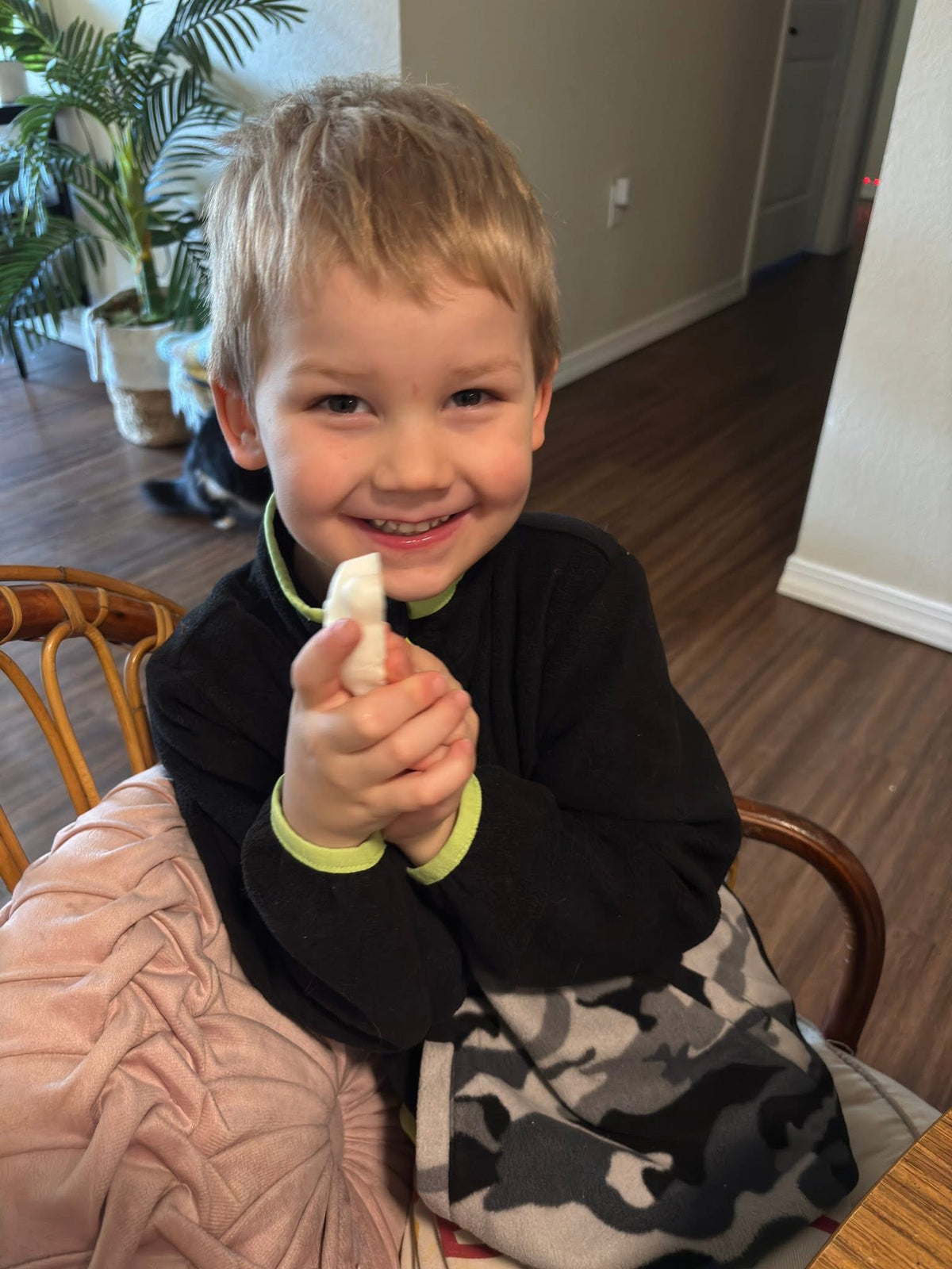Unscented  Dye Free Kids Fun Soap: All Natural Goat Milk with Shea Butter Moisturizing